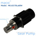 DC Magnet Drive Gear Pump